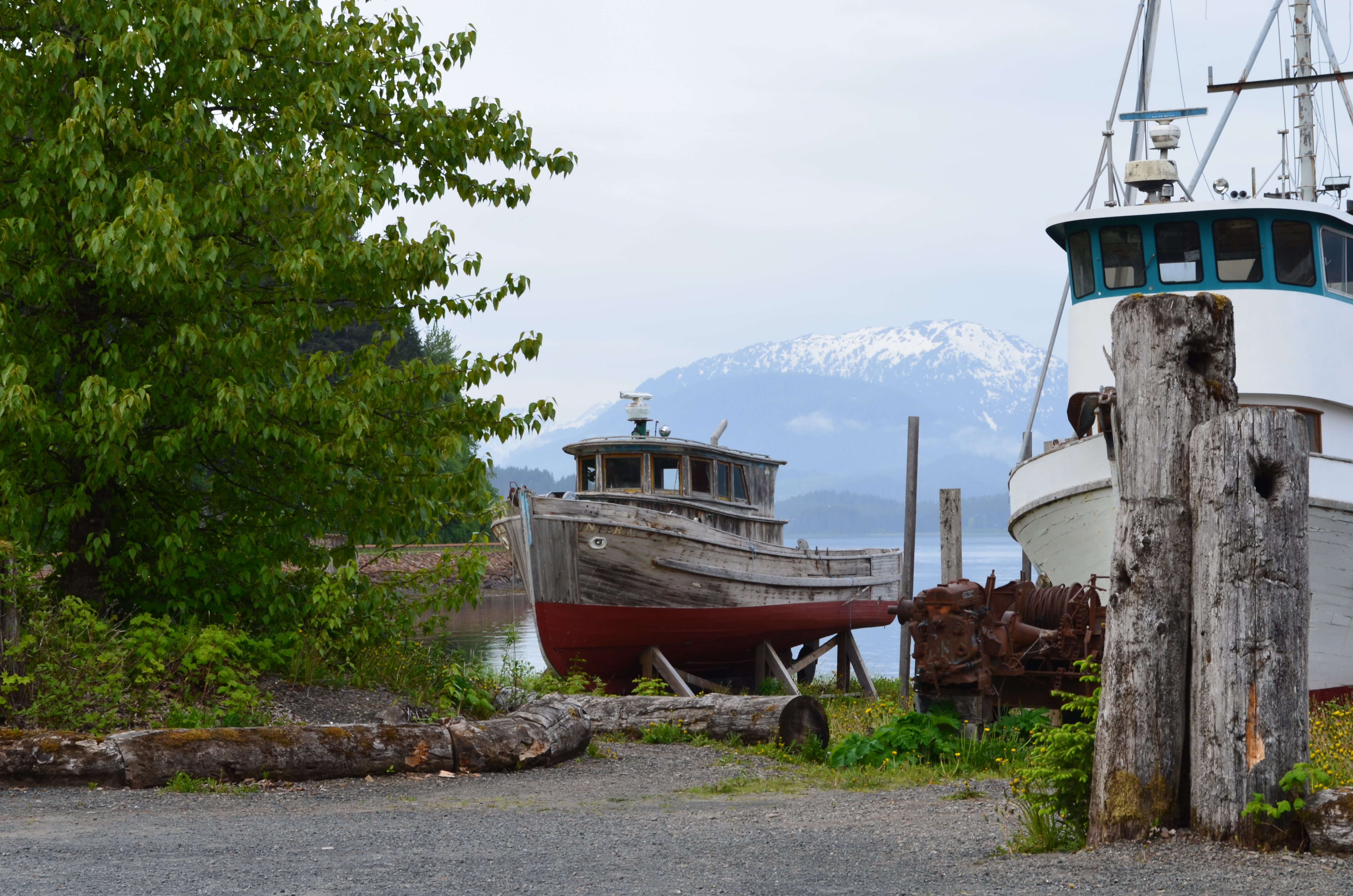 ./2017/08 - Alaska Cruise/10 - Icy Strait Point/DSC_0247.JPG